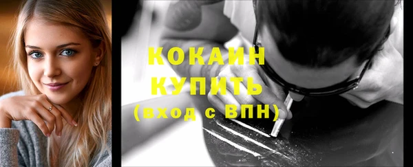 прущие грибы Балабаново