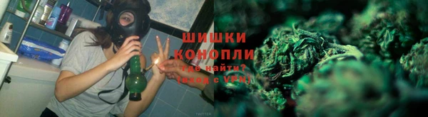 твердый Арсеньев