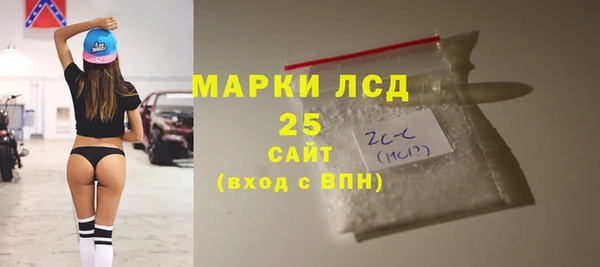 прущие грибы Балабаново