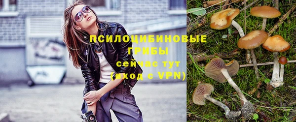 прущие грибы Балабаново