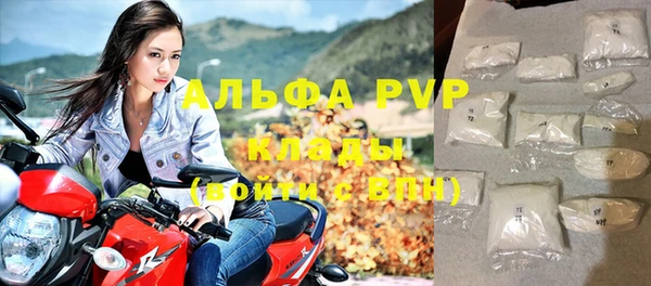 прущие грибы Балабаново