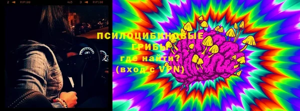 прущие грибы Балабаново