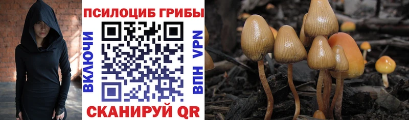 Галлюциногенные грибы ЛСД  omg вход  Слюдянка 